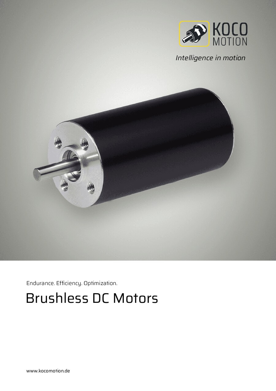Titelseite von Brushless DC Motors
